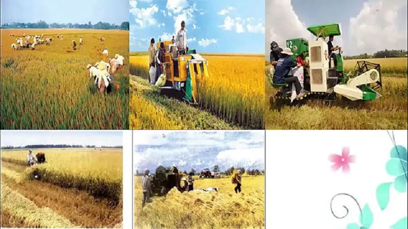lao động là gì? Nội dung quan trọng trong Bộ luật Lao động