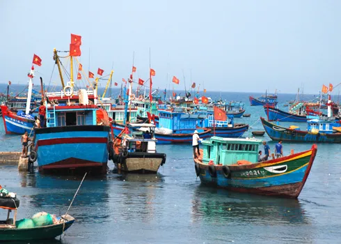 Nước bên trong là gì? Một số quy định liên quan đến nội thủy Việt Nam