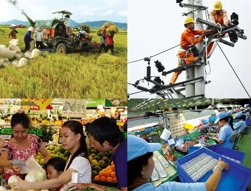 Thành phần kinh tế là gì? Việt Nam có những thành phần kinh tế nào?